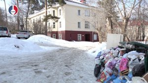 Несвоевременный вывоз мусора связан с плохой очисткой городских дворов управляющими компаниями