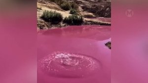 Она Такого не Ожидала! Если бы Это не Сняли на Камеру, Никто бы не поверил