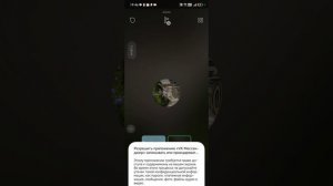 милана луквей