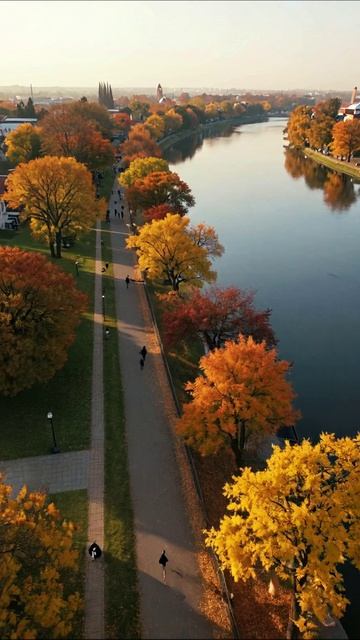 Осень у реки: волшебство природы #природа #осень #пейзаж