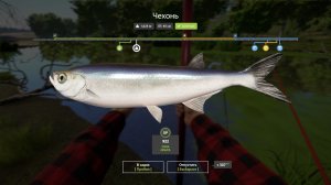 Играем в Russian Fishing 4 продолжаем ловить чехонь,сельдь-черноморскую и другую рыбку на р.Донец.
