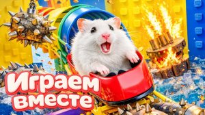 ХОМЯК ВЫБИРАЕТСЯ ИЗ СЕКРЕТНОЙ ХОМЯЧЕЙ ТЮРЬМЫ 🟢 Играем ВМЕСТЕ 🟢 Помогаем выбраться из лабиринта