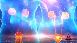 почки,мочеполовая