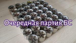 Очередная партия БС
