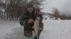 рыба попёрла ! подуст и ГОЛАВЛЬ