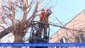 Движение автотранспорта сегодня было частично перекрыто на улице Чкалова