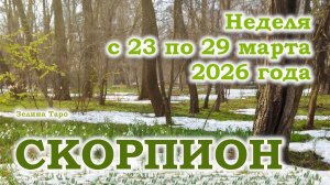СКОРПИОН | ТАРО прогноз на неделю с 23 по 29 марта 2026 года