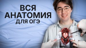 ВСЯ АНАТОМИЯ на ОГЭ по биологии | Никита Павлов | Умскул