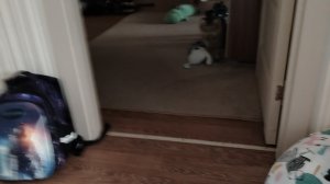 5 ночей с гошей 2 4-я ночь