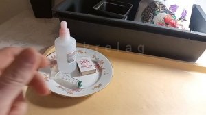 проращивание ПЕРЦА 🌱🌶️Проверенный и загадочный способы