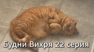 Будни Вихря 22 серия #я #Вихрицкий #Блогер #сериал #мы #счастье #россия #любовь #юмор #песня #вихрь