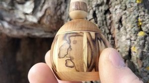 Шкатулка в дупле старой ивы