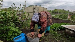 ДЕЛА НА ОГОРОДЕ