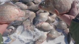 Весенняя раздача лаптей!Озеро. Последний лёд. #карасьзимой #