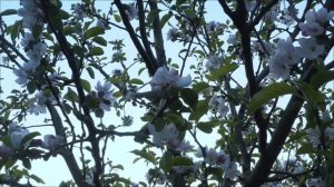 Застряли в долгах_ Сделайте 21 марта и разорвите круг.