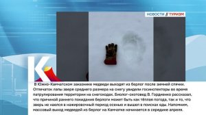 КАМЧАТКА|НОВОСТИ ТУРИЗМА 23.03.26