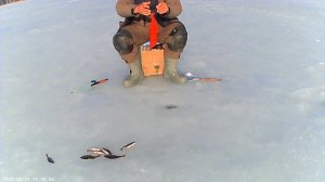 Рыбалка на озере Лохово 18 марта ( начало).