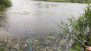 Рыбалка под дождем.