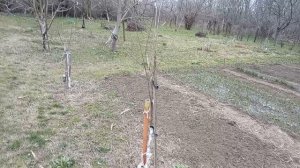 Мой огород и соседкин. Обзор! Юг России🌴.