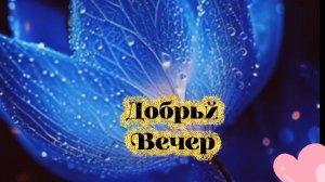 Добрый вечер пусть вечер будет добрым всем хорошего вечера 🌆✨