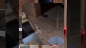 1000052819.mp4 (Собака наблюдает за устройством лестницы на 2-ой этаж в доме А-фрейм)