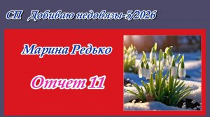 СП "Добиваю недовязы-5/2026" / Отчет 11