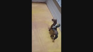 Просто тренировка на Фанни