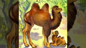 Про верблюда. И. Токмакова. Стихи для детей. Малышам