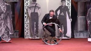 Три спасенные из зоны СВО кошки дебютировали в Театре Куклачева