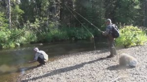 Лучшая Рыбалка на Хариуса. Рыбный День. Наловили Кучу Хариуса Самая Лучшая Рыбалка 2025 Онлайн Рутуб