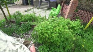 Влог от 28.05.2022