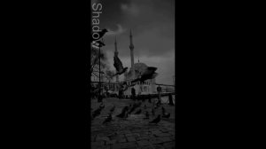 Islamic videos #shorts #Shadow #shadow #MrShadow #islam #Islam #Islamic #islamic