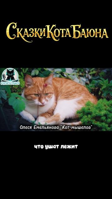 СКАЗКИ КОТА БАЮНА. Басня Олеси Емельяновой «Кот-мышелов». #сказки #сказкидлядетей #детям