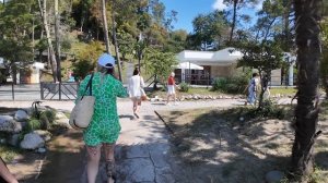 Абхазия Отель Литфонд 2025