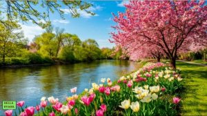 Плакала весна ручьём глубоким. Песня на стихи автора.