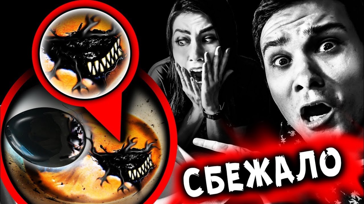 МУТАНТ ИЗ ЧЕРНОГО ЯЙЦА СКРЫТАЯ КАМЕРА МИСТИЧЕСКИЙ КВЕСТ