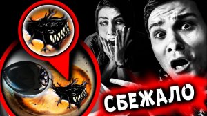 МУТАНТ ИЗ ЧЕРНОГО ЯЙЦА СКРЫТАЯ КАМЕРА МИСТИЧЕСКИЙ КВЕСТ