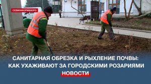 Санитарная обрезка и рыхление почвы: как в Севастополе ухаживают за городскими розариями