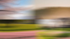 Звук природы. Птицы. Вьюрок в деревне поет весенним утром