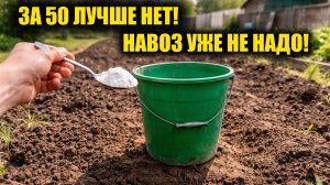 1 Ложка на ведро воды и земля как новая, пролейте этим землю для обильного урожая всего в огороде!