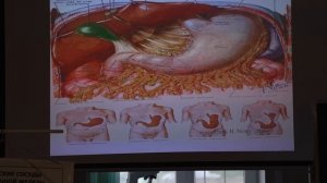 Лейкоцит долгожителя: как выглядит клетка, которая защищает вас 100 лет?