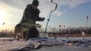 ОНА УТАСКИВАЕТ УДОЧКУ ПРЯМО В ЛУНКУ! БЕШНЫЙ КЛЁВ В МАРТЕ!