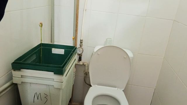 1000070407.mp4 смотреть онлайн