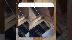 1000052816.mp4 (Собака наблюдает за устройством лестницы на 2-ой этаж в доме А-фрейм)