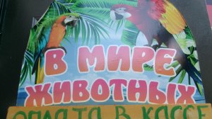 В мире животных.. Наш отпуск.  Горячий  Ключ...