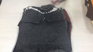 с642.1. Джемпера Германия