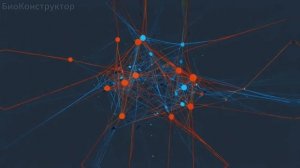 Гиппокамп. Ежедневная защита мозга от безумия