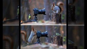 InShot_20260305_042647205.mp4