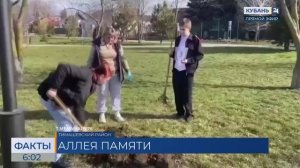 Липовую аллею высадили в память об участниках СВО в Тимашевском районе