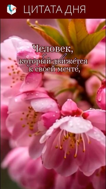 #цитата_выходного_дня